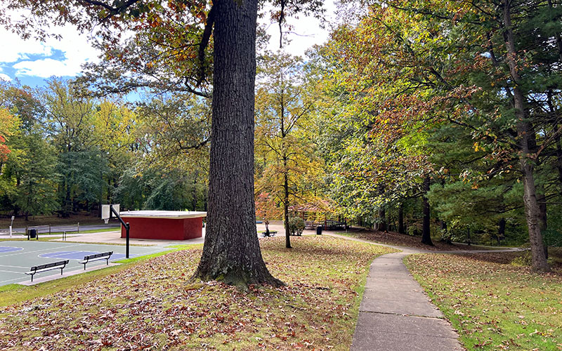 A paved path winds through a park with trees, a basketball court, benches, and a small red building on a clear day.