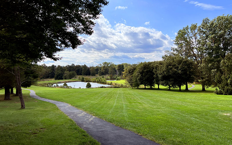 A paved path runs through a grassy park with scattered trees, leading to a small pond under a partly cloudy sky.