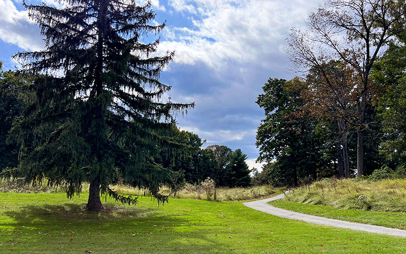 A paved path curves through a grassy park with tall trees under a partly cloudy sky.