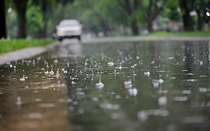 Rain falls on a wet road with water droplets splashing; a white car is visible in the blurred background under green trees.