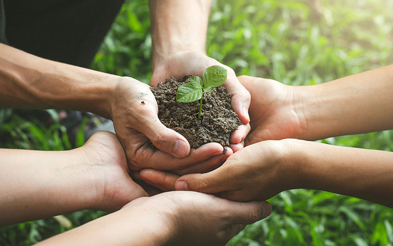 Several hands are cupped together holding soil and a small green seedling, with grass visible in the background.