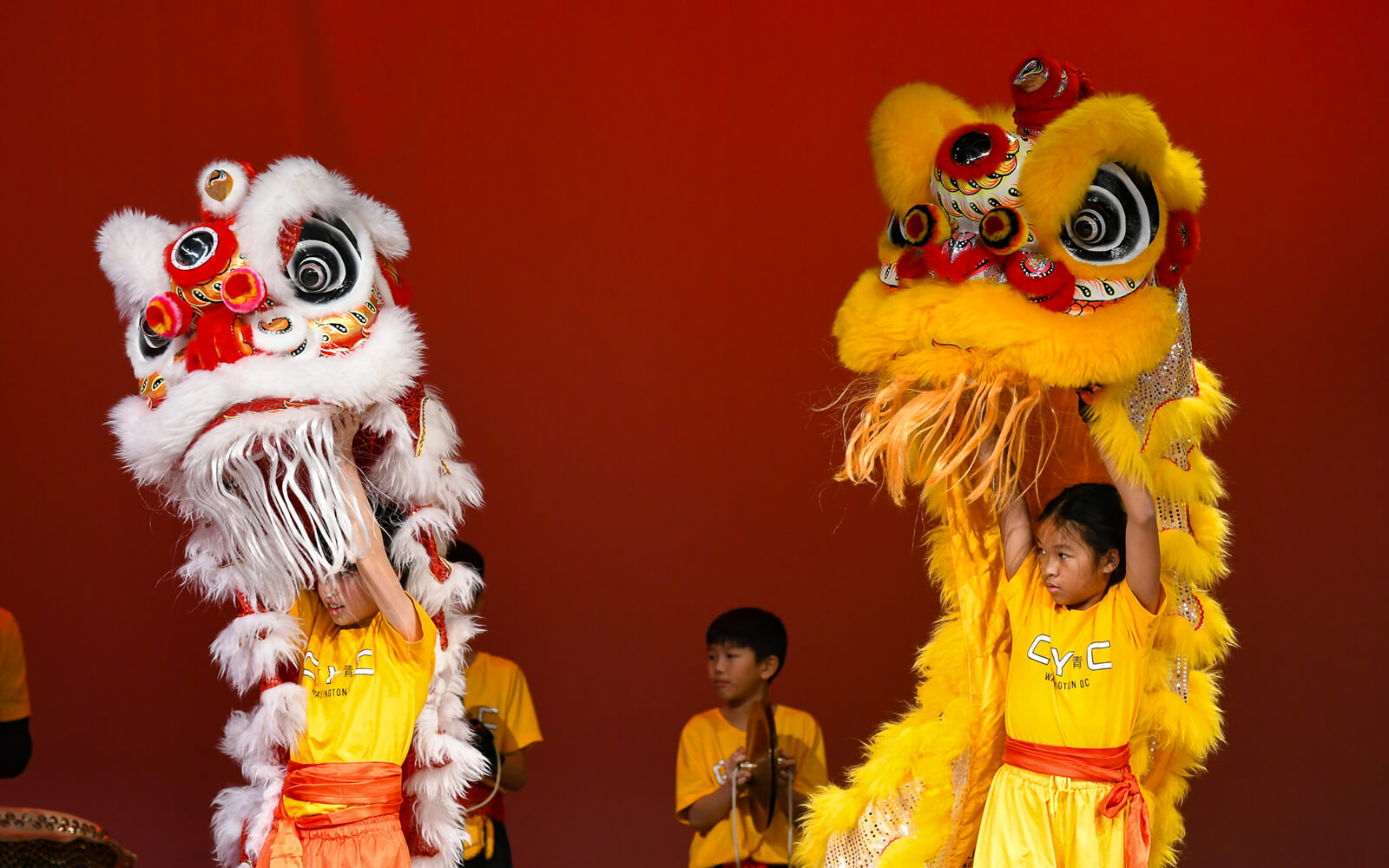 Children in yellow shirts perform a traditional lion dance on stage, holding up colorful lion costumes against a red background.
