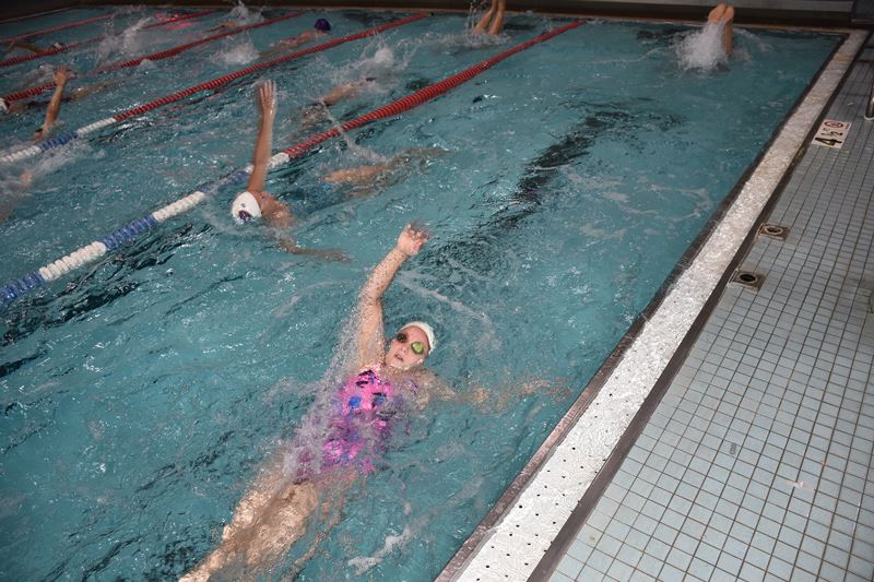 Several swimmers practice backstroke in an indoor pool, each in separate lanes, with water splashing around them.
