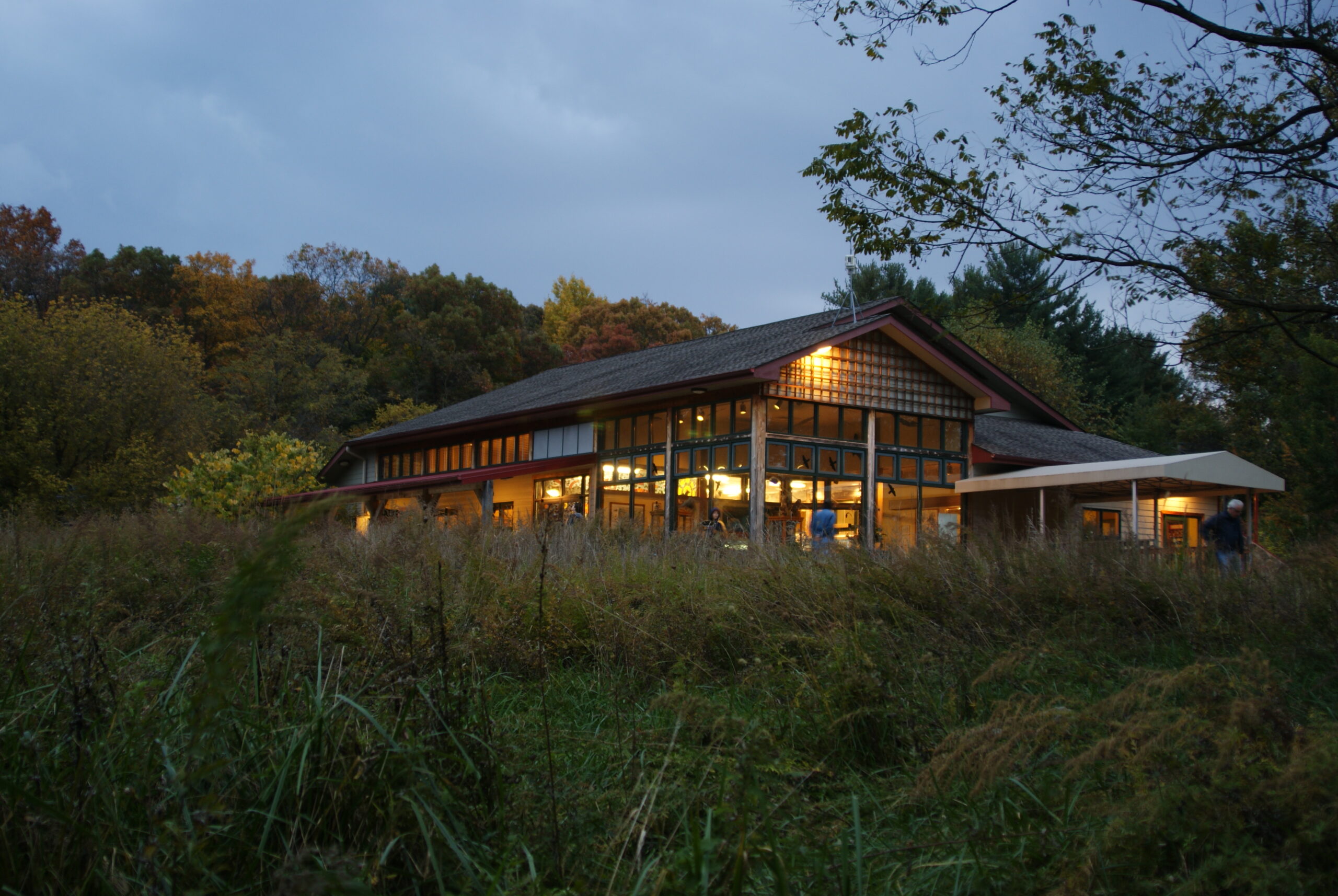 A modern building with large windows is illuminated at dusk, surrounded by tall grass and trees with autumn foliage.