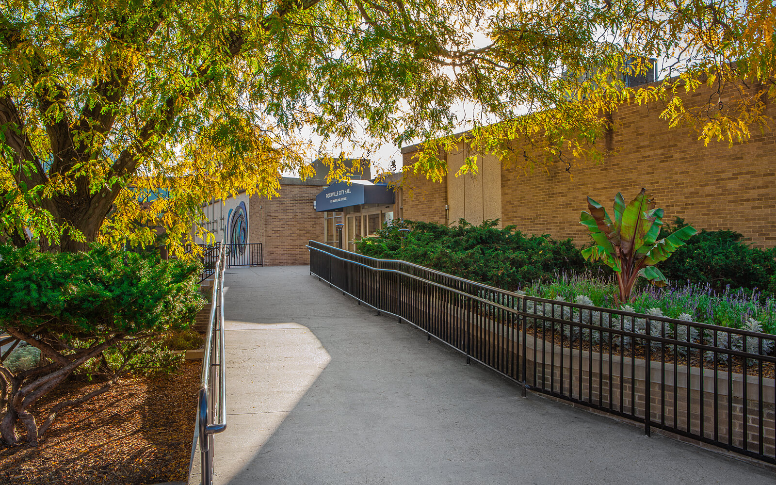 A walkway with a railing and trees.